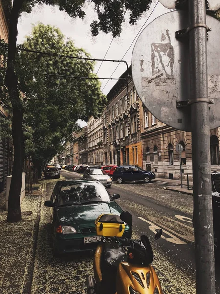 Acogedoras Calles Ciudad Verano Centro Histórico Budapest —  Fotos de Stock