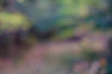 Yumuşak kenarları olan soyut bir bakış açısı rengarenk elementleri ve eğimleri vurguluyor, sakinleştirici ve sakin bir ortam yaratıyor..