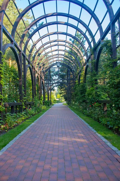 Wooden arch with trees and walkway in empty garden. Green tunnel from trees and flowers in perspective. Corridor of plants. Summer silent empty alley.