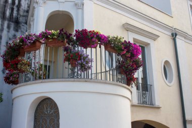 Parlak çiçek tencere beyaz bina yuvarlak balkonda. Evin cephe Çiçeklik ile dekore edilmiştir. Seyahat ve mimari konsepti. Dış tasarım. 