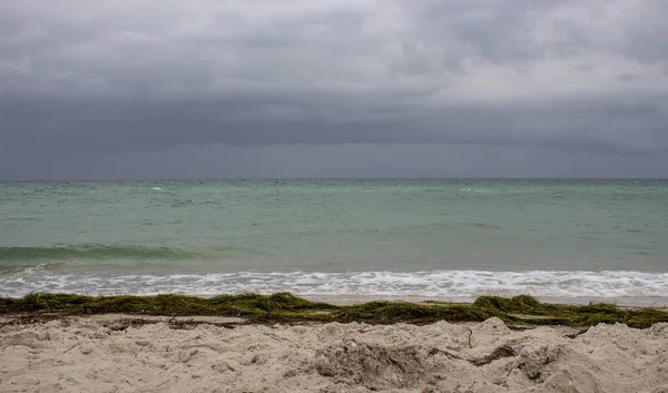 Морской Берег Песчаным Пляжем Водорослями Темно Синим Небом Побережье Океана — стоковое фото