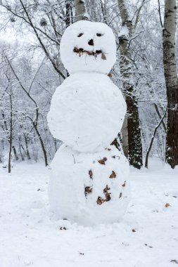Kardan adam kış orman gülümseme. Noel eğlenceli. Yeni yıl kutlama. Arka plan buz ve kar. Kış açık dekorasyon. Korkunç kardan adam. 