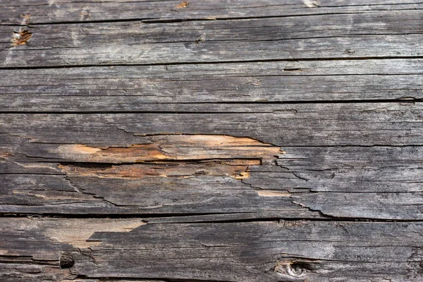 Tablones Horizontales Madera Gris Paneles Madera Grunge Envejecidos Decoración Pared — Foto de Stock