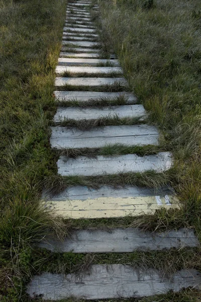 Wthered Wooden Walkpath Green Grass Forest Пустой Деревянный Путь Перспективе — стоковое фото