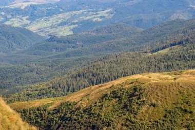 Karpatlar dağlar, Ukrayna harika panoramik manzarasını. Herdem yeşil orman hills. Karpatlar dağlar manzara. Seyahat ve yürüyüş kavramı. Dağlar doğa perspektif içinde.