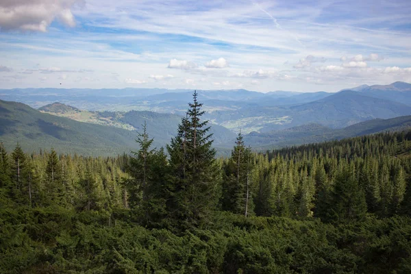 Wonderful Panoramic View Carpathians Mountains Ukraine Evergreen Forest Hills Carpathians Stock Picture