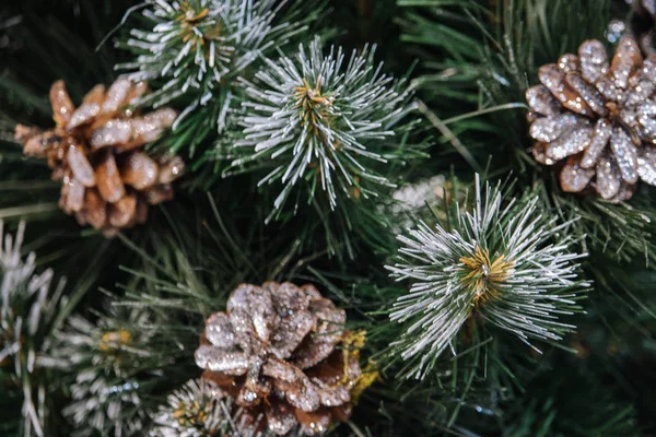 Kerstboom Dennenappels Versierd Met Sneeuw Feestelijke Conifeerachtige Boom Pinecones Kerstboom — Stockfoto