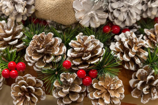 Décoration Noël Avec Cônes Pin Dans Neige Arbre Conifères Festif — Photo