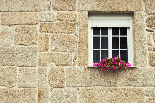 Window Flower Pot Brick Wall Sandstone Building Exterior Architecture Outdoor — Stock Photo, Image