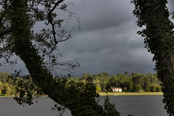 Rio Floresta Nas Margens Árvores Com Foreground Hera Com Lago — Fotografia de Stock