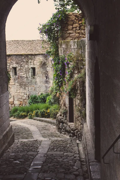 Medieval street arch in provence. Ancient european architecture. Charming brick castle gate with flowers and plants and lantern. Romantic travel concept. Old stone building exterior. Narrow village street.