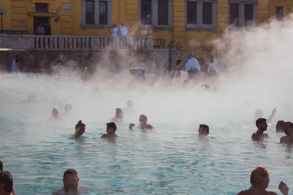 Szechenyi Termal hamamları, Budapest, Macaristan - 20/02/2019: tarihsel Szechenyi Termal hamamlar yüzme insanlarla. Sıcak su resort. Sakin ol ve sağlıklı tatil. Macar açık sauna. Spa ve yüzme havuzu.