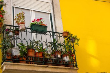 Küçük balkon saksı parlak sarı duvara ile. Geleneksel Portekiz açık tasarım. Sokak dekorasyon Lizbon. Avrupa'nın bir şekilde dekore edilmiş veranda. Parlak çiçek dış. Sarı cephe.
