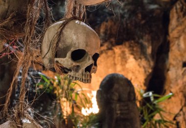 İnsan kürek ipte asılı. Ölüm sembolü. Korku ve dehşet kavramı. 