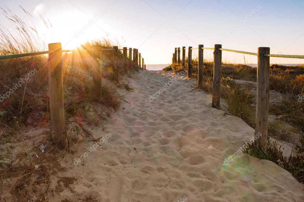 Scenic sunset on beach with wooden fence. Entrance to beach in evening sunlight. Way to the beach. Sunny beautiful evening on ocean coast. Wooden columns and path on sand. Travel and tourism concept.  