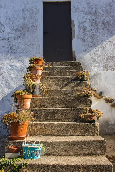 가까운 계단에 파티오 디자인입니다 유럽의 전통적인 뒷마당 계단에 아키텍처 개념입니다 — 스톡 사진
