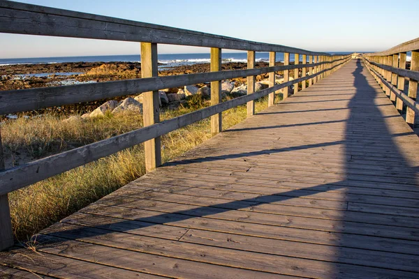 Wooden path with fence to the beach. Walkway on seashore in the morning. Travel and walk concept. Camino de Santiago landscape. Atlantic Ocean coast in Portugal. Wooden pier in perspective.