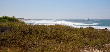 Atlantik Okyanusu sahilinin panoramik manzarası. Dalgalar ve çit ile çim sahil ile geniş plaj. Yaz sahil şeridi. Seascape konsepti. Seyahat ve tatil konsepti. Portekiz doğa. 