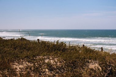 Atlantik Okyanusu sahilinin panoramik manzarası. Dalgalar ve çit ile çim sahil ile geniş plaj. Yaz sahil şeridi. Seascape konsepti. Seyahat ve tatil konsepti. Portekiz doğa. 