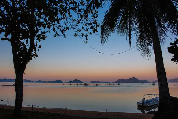 木々やボートとビーチで朝 フィリピン パラワンの日の出 朝の夕暮れ時の熱帯の諸島は 前景に木々が植えられています 伝統的なフィリピンのボートとアジアの風景 夏休み — ストック写真