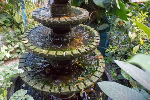 Small stone fountain in tropical garden. Fountain in vase in asian backyard. Zen and peace concept. Stone statue with water and green trees and leaves. Home decoration. Philippines culture concept.