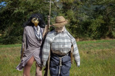 Sahada iki komik korkuluk. Şapkalı ve sopalı bir çift korkuluk. Hasat koruma ve güvenlik konsepti. Kırsal peyzaj. Çiftlik bekçisi. Çayırda açık güvenlik bebekleri.