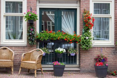 Sandalye ve saksılar ile sakin teras. Amsterdam, Hollanda bilinmeyen tuğla binanın dış. Pencereler ve çiçeklerle giriş. Avrupa'da cephe dekorasyonu. Amsterdam'da geleneksel sokak tasarımı.