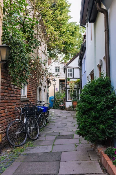 Bicycles and trees in cozy backyard in Europe. Summer patio with bikes. Bicycles in front of old house. Traditional exterior of houses in Amsterdam. European architecture concept. Old town.