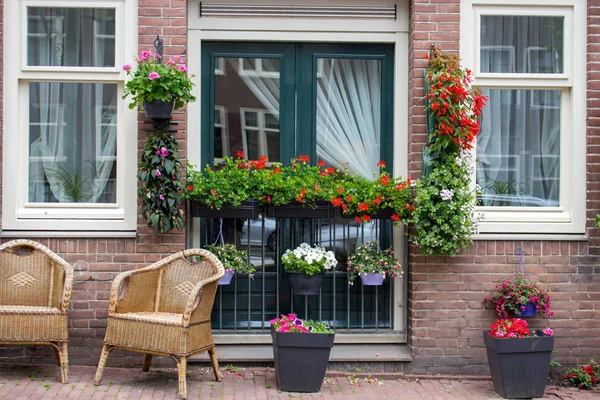 Sandalye ve saksılar ile sakin teras. Amsterdam, Hollanda bilinmeyen tuğla binanın dış. Pencereler ve çiçeklerle giriş. Avrupa'da cephe dekorasyonu. Amsterdam'da geleneksel sokak tasarımı.