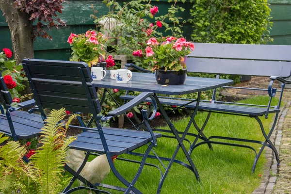 Cozy summer backyard with outdoor table and chairs. Patio with tea table and white hen under chair. Beautiful garden with outdoor furniture and flowers with tea cups. Traditional village backyard in Holland.