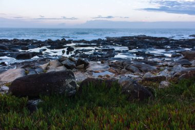 Sabah Portekiz'de Atlantik Okyanusu sahili. Mavi sabah sisinde deniz manzarası. Taşlı ve yeşil çimenli okyanus plajı. Kayalık sahil şeridi. Vahşi doğa konsepti. Denizde gün doğumu.