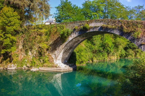 Medieval Bridge Moss River France Old Roman Bridge Forest Medieval — Stock Photo, Image