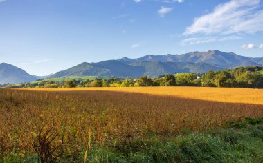 Dağlarla ve mavi gökyüzüyle sonbahar manzarası. Dağlardan gelen gölgeli sarı alan. Fransa 'da sonbahar doğası. Tarlada güneşli bir sabah. Vadi otlağı. Sabah tepeleri olan manzaralı bir manzara..