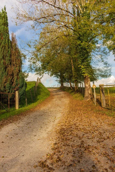 Empty road in countryside. Curve path in autumn. Camino de Santiago background. Way along the fence with Camino sign in Piemonte region. Rural trail in warm sunlight. Travel and pilgrimage concept.