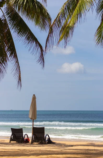 Praia Tropical Cênica Com Palmeiras Espreguiçadeiras Vertical Fundo Resort Idílico — Fotografia de Stock