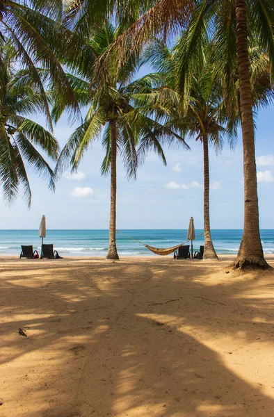 Praia Tropical Cênica Com Palmeiras Espreguiçadeiras Vertical Fundo Resort Idílico — Fotografia de Stock