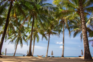 Palmiye ağaçları, hamağı ve sandalyeleri olan tropik bir plaj. Idyllic tatil köyü geçmişi. Karantina sırasında boş bir tatil köyü. Deniz kıyısında bir tatil. Seyahat ve rahatlama konsepti. Tropik bir manzara. Deniz kıyısındaki Hindistan cevizi ağaçlarının altında güneşli bir tatil..
