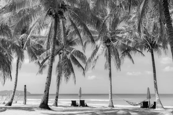 Escénica Playa Tropical Con Palmeras Hamaca Monocroma Fondo Idílico Del — Foto de Stock