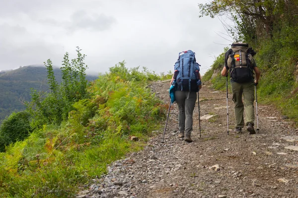 Camino de Santiago 'da iki hacı. Tepede iki turist var. Sırt çantalı ve sopalı adam ve kadın dağlarda yürüyorlar. Aktif insanlar. Seyahat konsepti. Olağanüstü bir yaşam tarzı. Özgürlük ve aktivite kavramı.