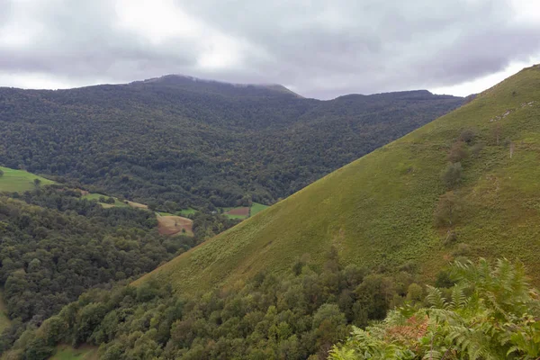 Scenic view of Pyrenees mountains, France. Landscape with mountains of Camino de Santiago. Forest on the hills. Panoramic view of mountains with dramatic sky. Rural nature.