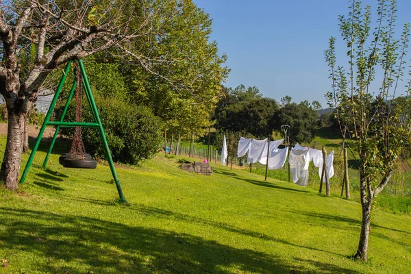 Çamaşır ipinde beyaz çarşaf ve bahçede bebek salıncağı. Köyde temiz hava alan beyaz çarşaflar. Ev işi konsepti. Açık hava çamaşırları. Güneşli ve huzurlu bir günde arka bahçede. Ev ödevi konsepti. İp ve salıncakta beyaz çarşaf.