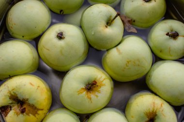 Taze yeşil elmalar kasede. Suda olgun elmalar. Sonbahar hasadı. Organik meyve arka planı. Bir yığın yeşil elma. Çiğ diyet. Doğal vitamin. Sağlıklı beslenme konsepti. Doğal çerez.