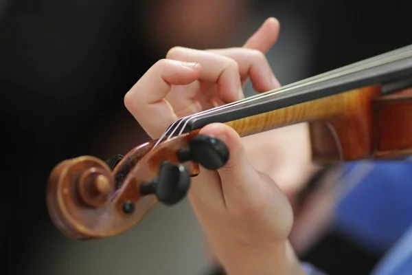 Violino Jogador Detalhes Close — Fotografia de Stock