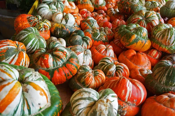 Muitas Abóboras Loja Verduras Grécia Peloponeso — Fotografia de Stock