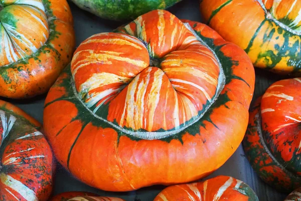 Många Pumpor Vegetabiliska Butik Grekland Peloponnesos — Stockfoto