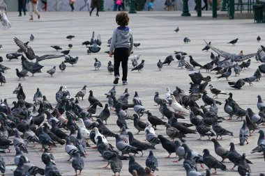 05 October 2018, Atina, Yunanistan çocuk meydanda güvercinlere bakıyor