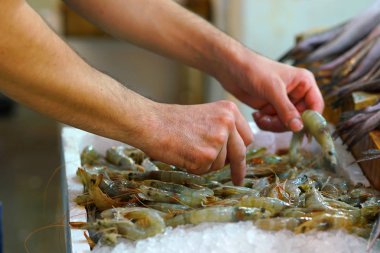 Atina, Yunanistan 'ın merkezi pazarında Satılık ekranda karidesler koyarak balıkçı elleri detay