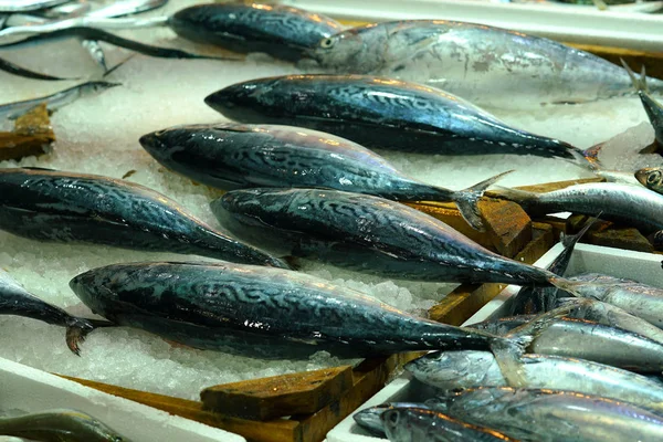 Mercado Central Atenas Caballas Venta — Foto de Stock