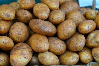 Çiftçi patates piyasada, yakın çekim