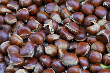 kestane piyasada, yakın çekim